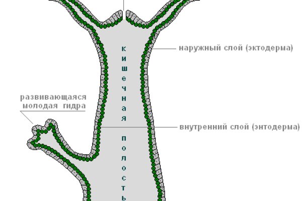 Как зарегистрироваться на кракене маркетплейс