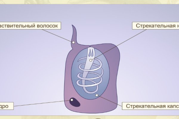 Сайт кракен kraken krakens15 at