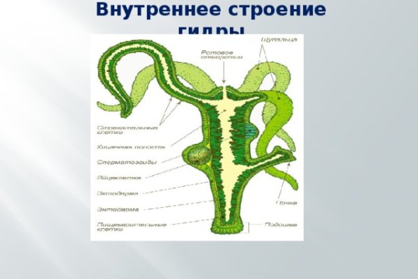 Кракен сайт наркота