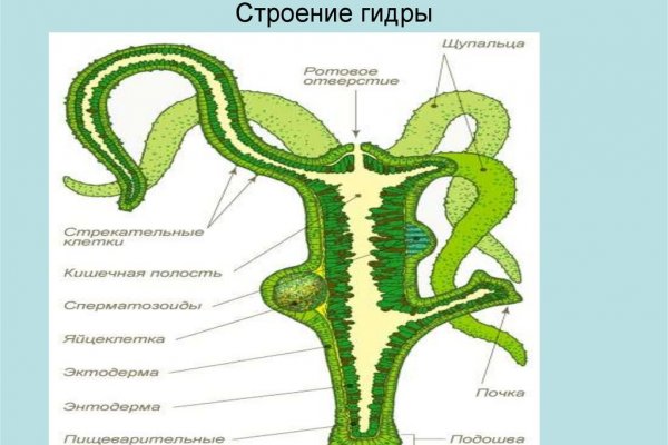 Зеркало на кракен