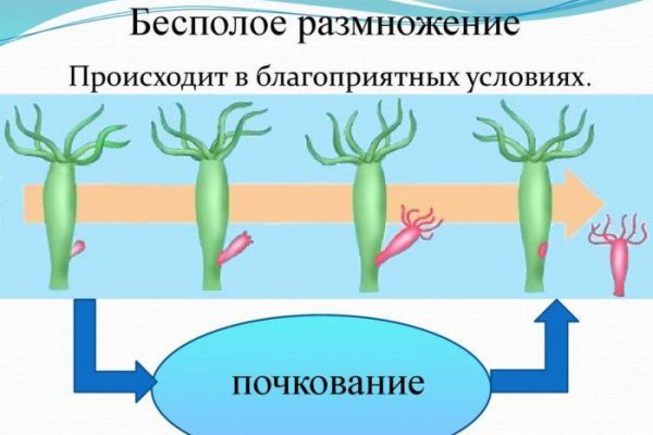 Ссылка на кракен 15ат