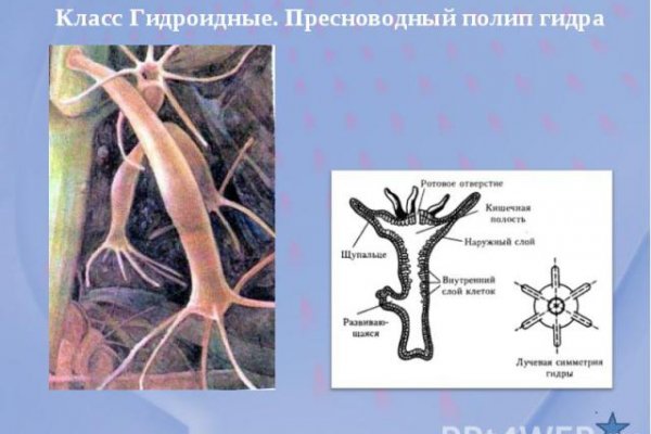 Как закинуть деньги на кракен